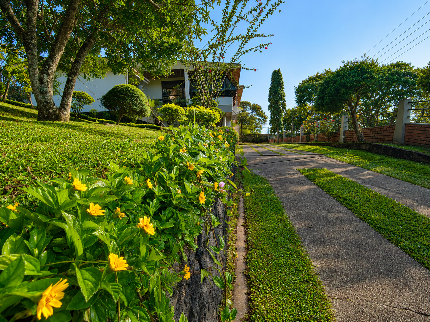 Garden Entrance with Scenic Driveway